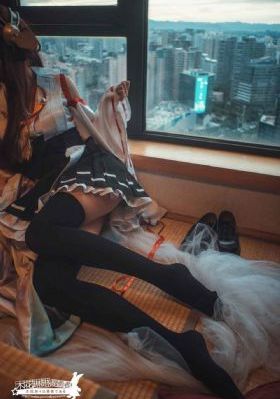 苏染染追夫记 电视剧_BD免费观看